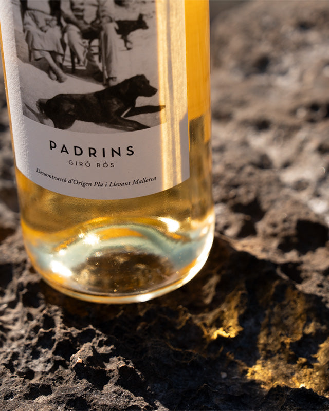PADRINS